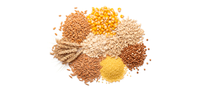 მარცვლეული