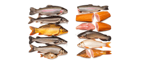 თევზი და თევზპროდუქტები