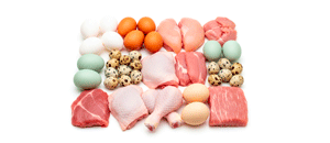 ფრინველის ხორცი და კვერცხი