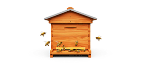 ფუტკარი