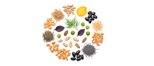 თესლები